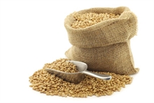 Risotto d'amidonnier (Triticum dicoccum)