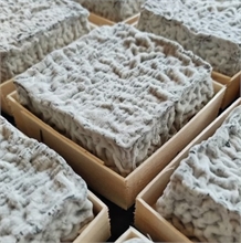 Pav&eacute; Cendr&eacute; Montagne Noire